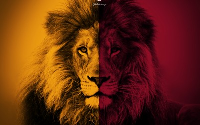 欧皇体育动态-世界杯最大赢家